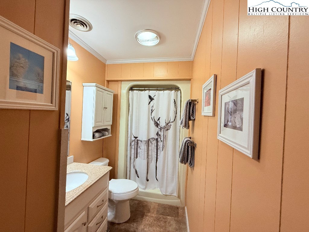 154 Breezy Lane Deep Gap, NC 28618 - Photo 29 of 46 a bathroom with a toilet a sink and shower