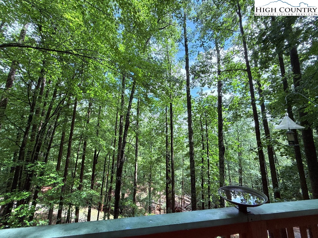 154 Breezy Lane Deep Gap, NC 28618 - Photo 3 of 46 a view of forest