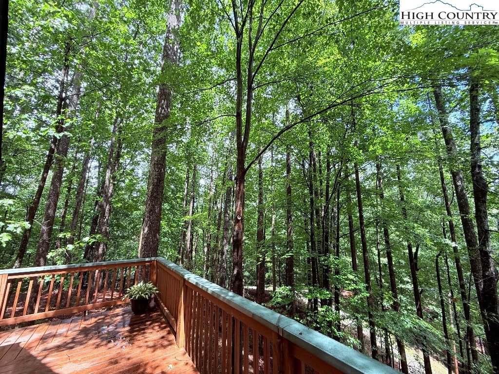 154 Breezy Lane Deep Gap, NC 28618 - Photo 42 of 46