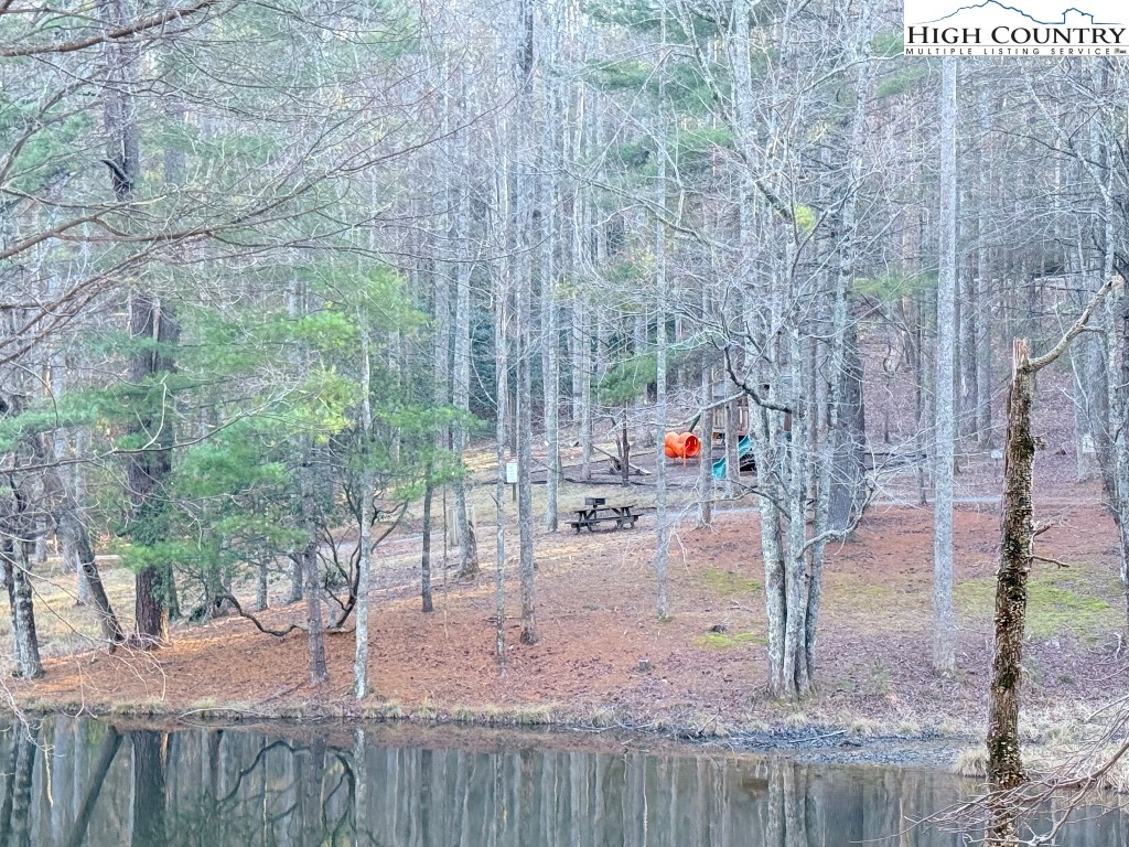 154 Breezy Lane Deep Gap, NC 28618 - Photo 44 of 46 a view of a park with large trees