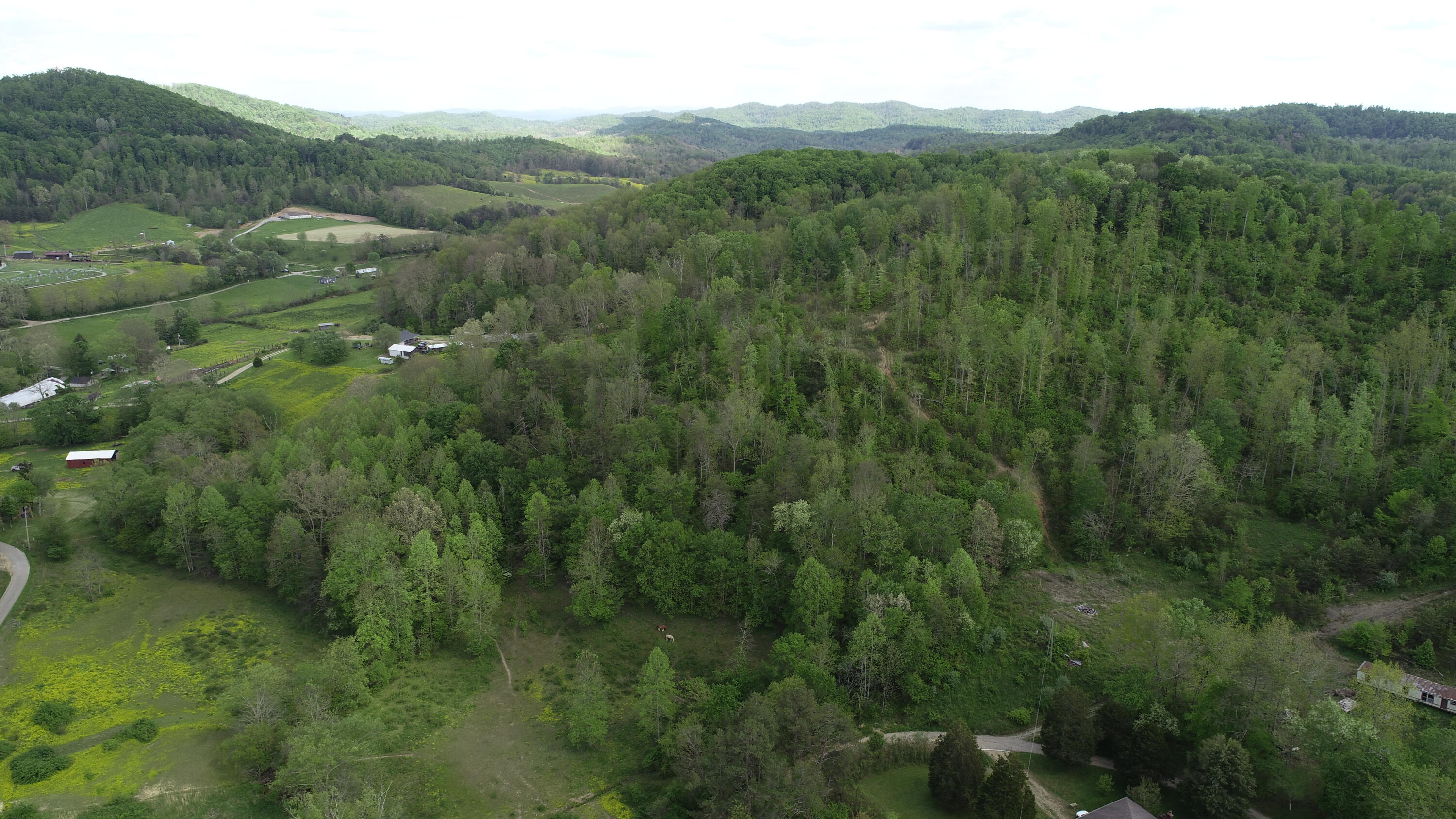 395 Ainer Jackson Road Corbin, KY 40701 - Photo 9 of 18 DJI_0255