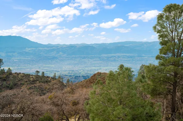 a view of a lake with lots of trees