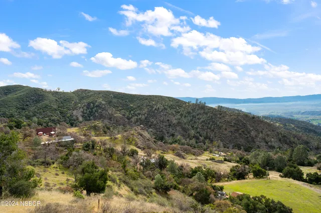 a view of a yard with plants and trees