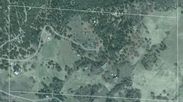 a view of a yard with an trees