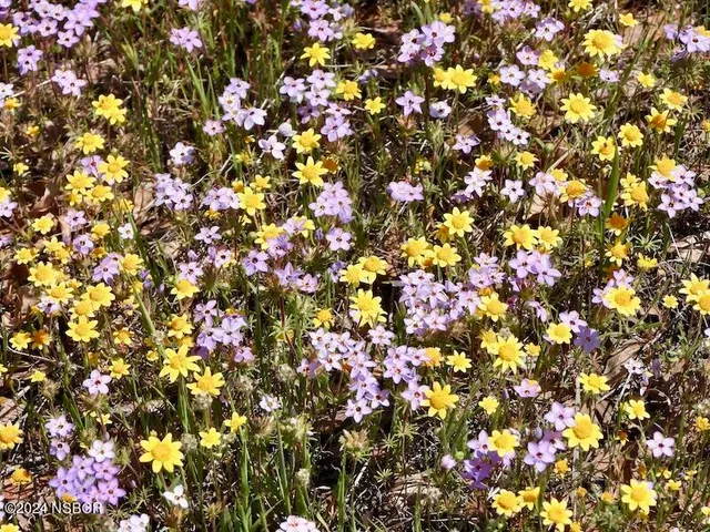 $3,000,000 | 9000 Figueroa Mountain Road, Los Olivos, CA 93441