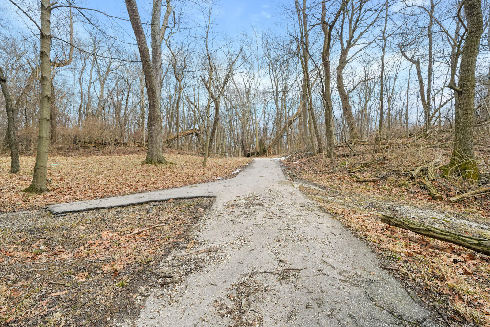 11451 Coon Hollow Road Three Rivers, MI 49093 - Photo 9 of 51 11451 Coon Hollow Rd (53) (33 of 53)