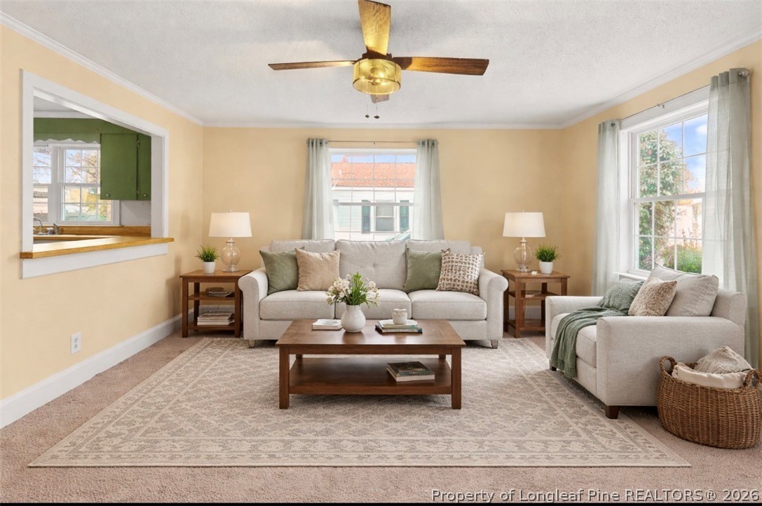 106 County Avenue Dunn, NC 28334 - Photo 10 of 24 a living room with furniture and a window