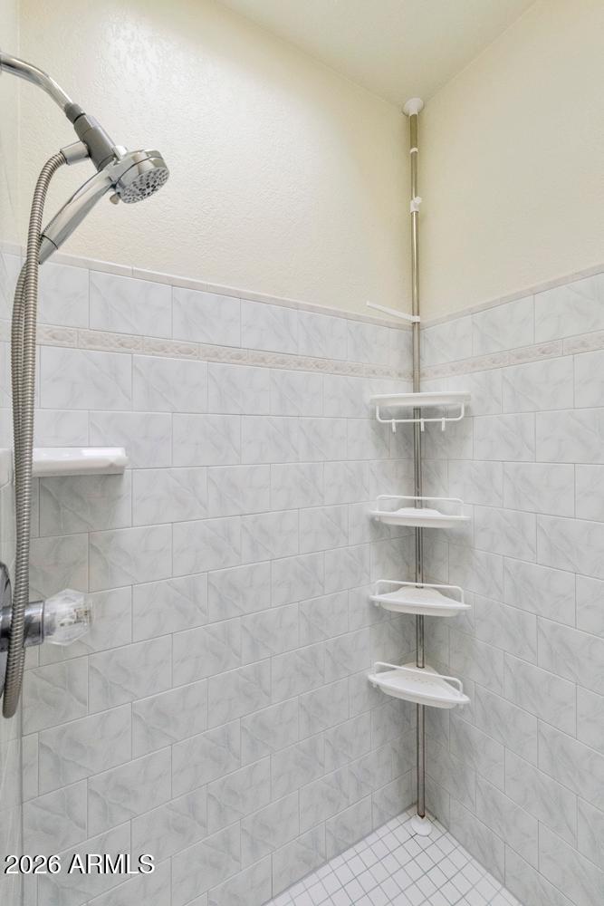 1775 North Mountain View Road Apache Junction, AZ 85119 - Photo 20 of 57 Shower