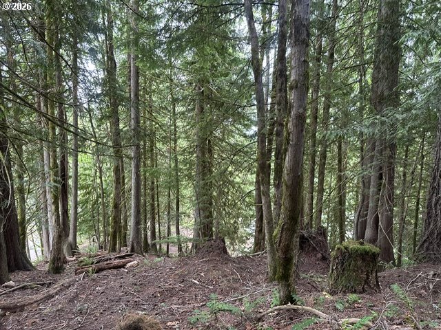 H Street Vernonia, OR 97064 - Photo 16 of 21