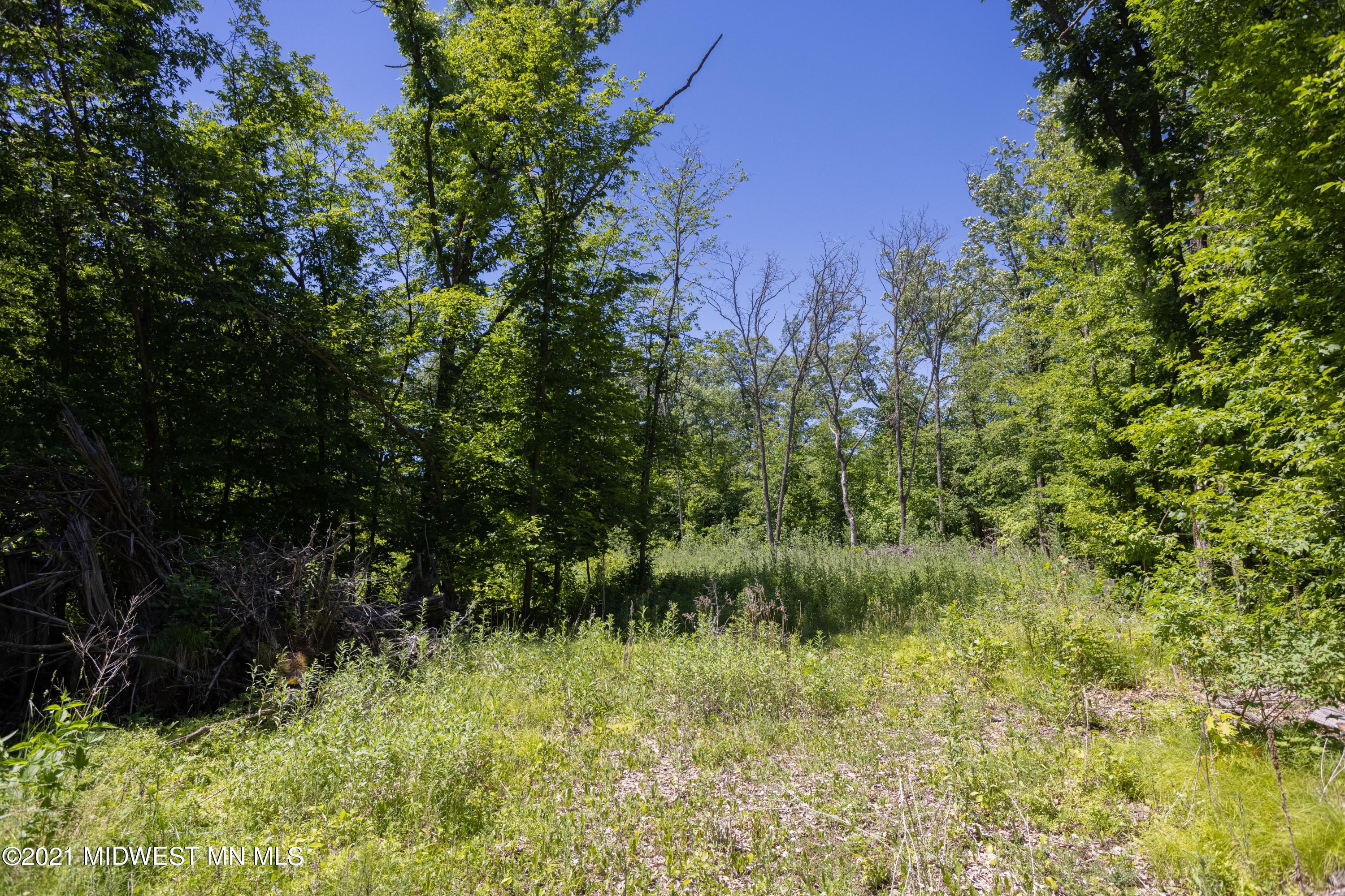 11162 Maple Avenue Frazee, MN 56544 - Photo 1 of 1 Gallery Image 1