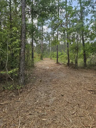 $199,900 | Lot 2 Rocky Creek Road, Marianna, FL 32448