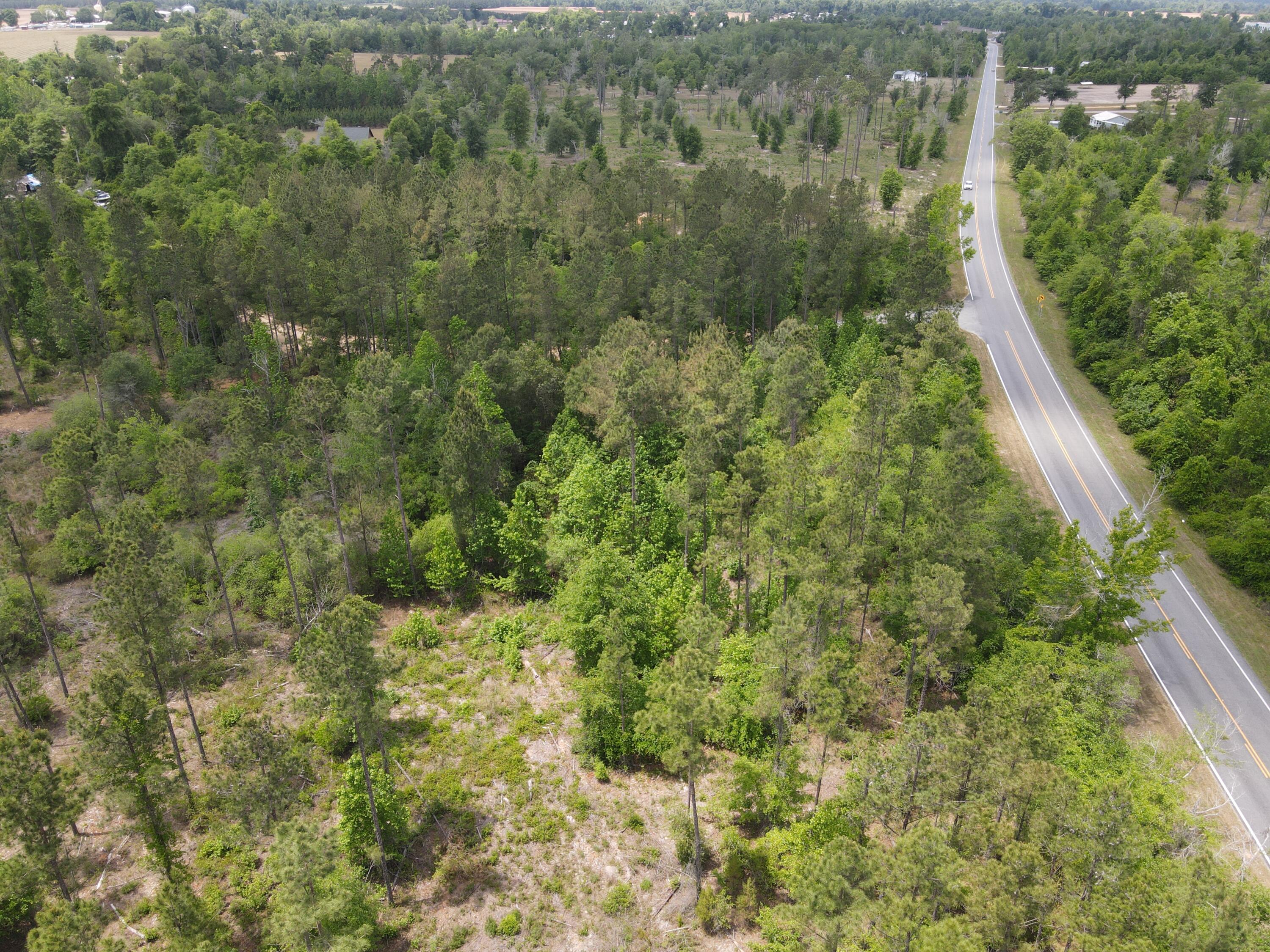 Lot 2 Rocky Creek Road Marianna, FL 32448 - Photo 2 of 13 a view of a forest