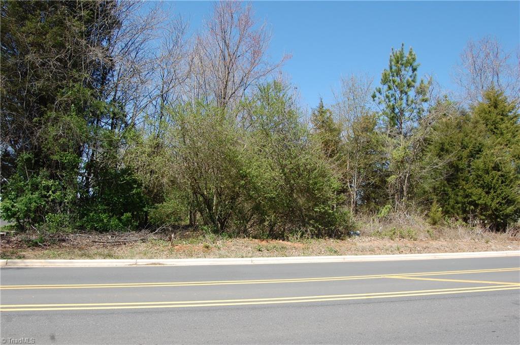 Lot 010 Idols Road Clemmons, NC 27012 - Photo 2 of 6 Gallery Image 2