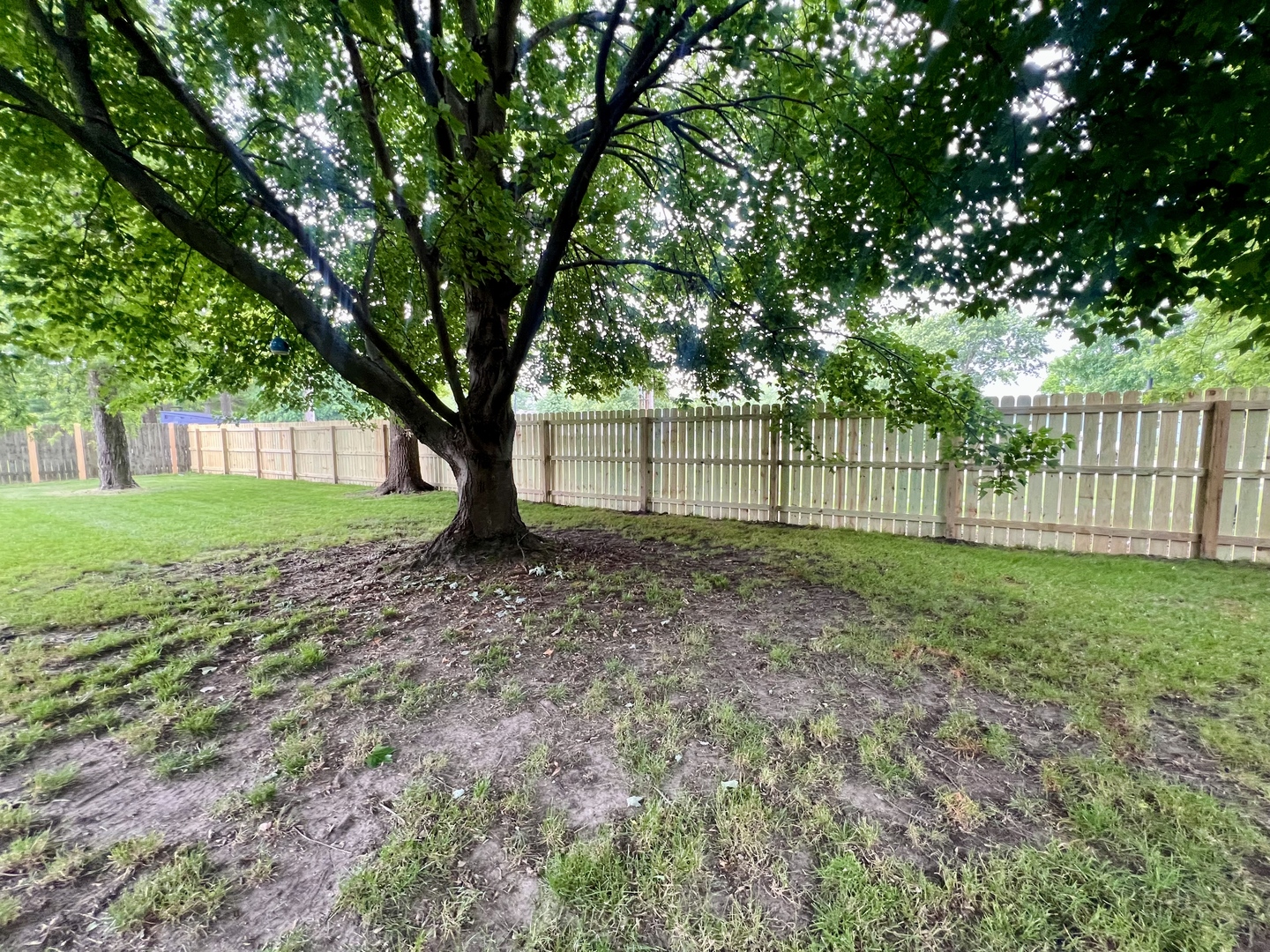 803 Irvine Road, Unit 803 Champaign, IL 61822 - Photo 36 of 38