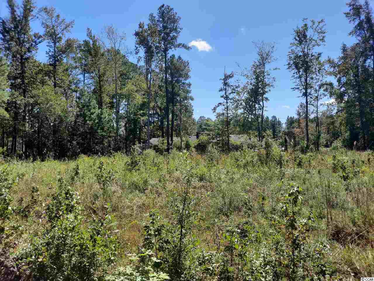Lot 60 East Wisteria Drive Hemingway, SC 29554 - Photo 2 of 2