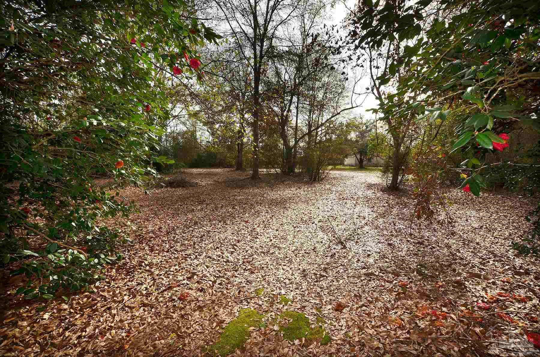6475 Chestnut Road Molino, FL 32577 - Photo 41 of 67 a view of a trees with a tree