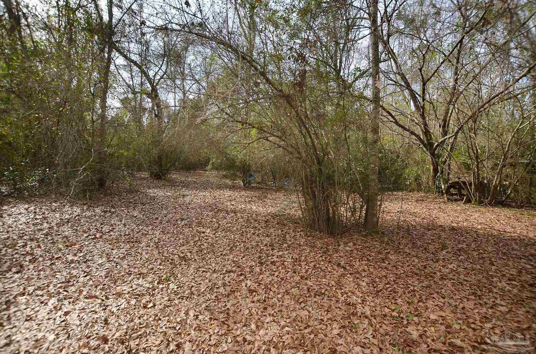 6475 Chestnut Road Molino, FL 32577 - Photo 42 of 67 a big yard with lots of green space