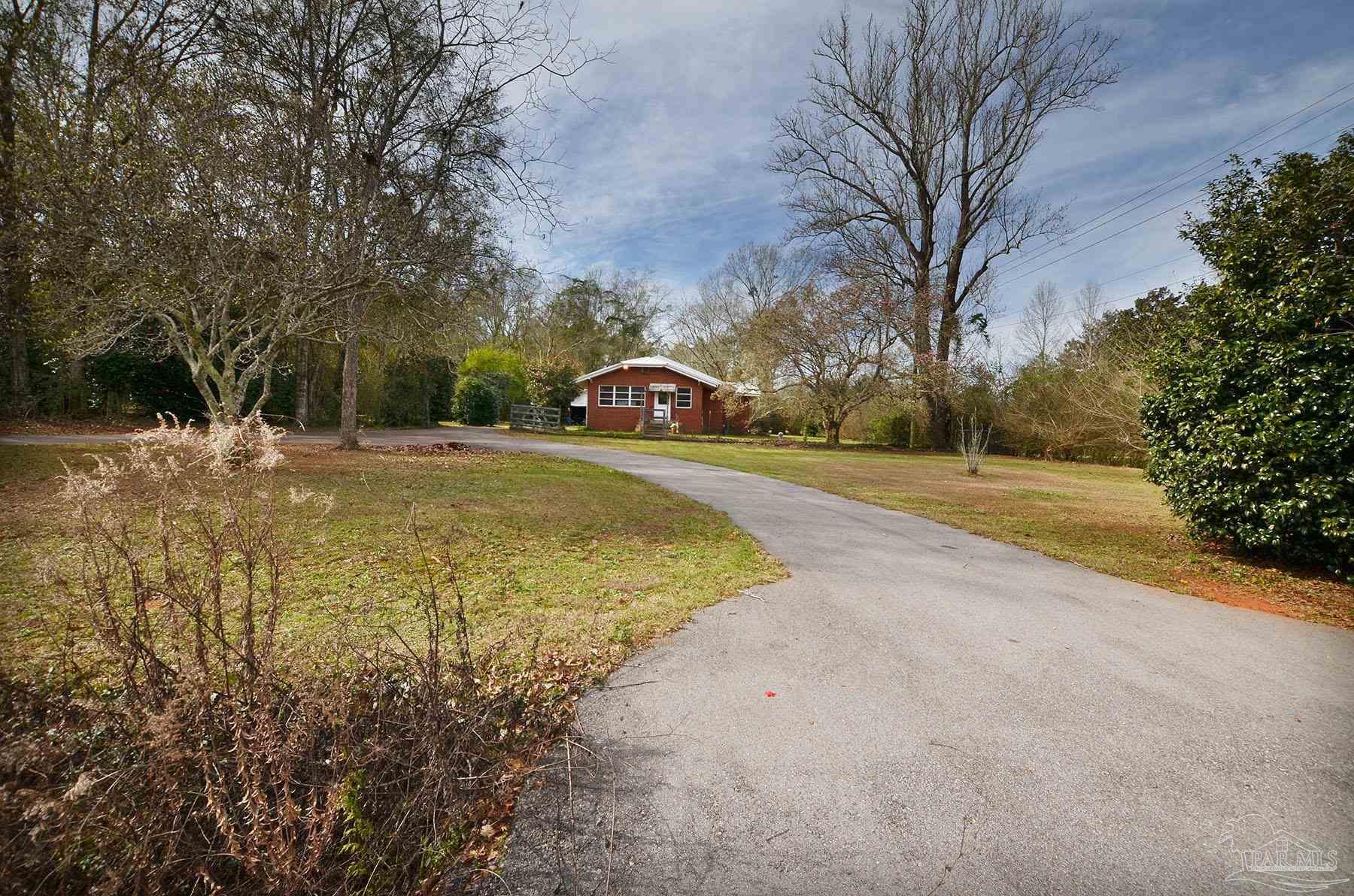 6475 Chestnut Road Molino, FL 32577 - Photo 55 of 67 a view of a yard with plants and trees