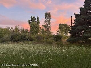 4383 West Cutler Road Dewitt, MI 48820 - Photo 5 of 15 IMG_3901