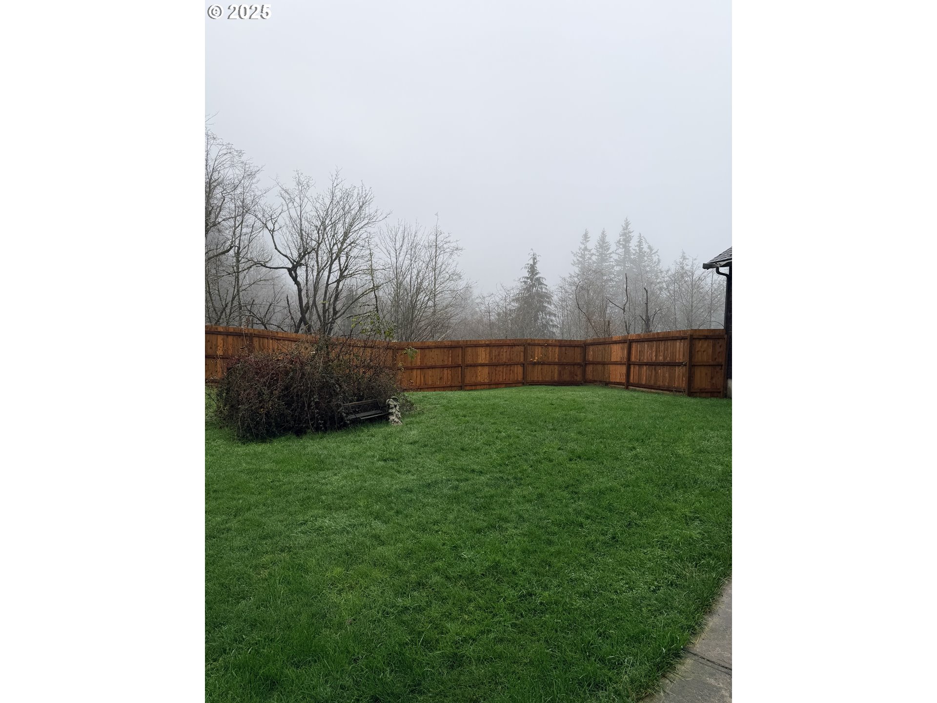 154 Shipview Road Kalama, WA 98625 - Photo 20 of 22 a view of yard with tree in it