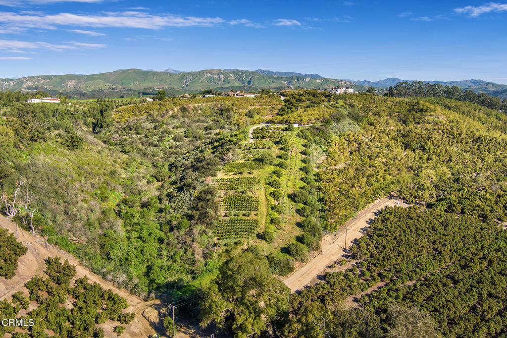 4305 Groves Place Somis, CA 93066 - Photo 15 of 22 a view of a city with an ocean