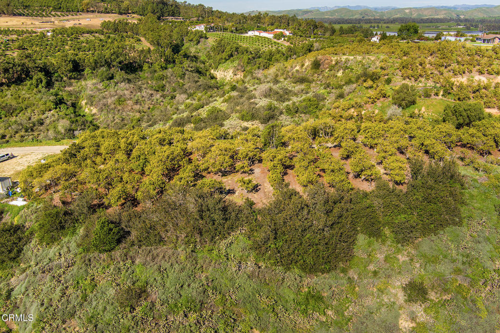 4305 Groves Place Somis, CA 93066 - Photo 17 of 22 a view of a city with an aerial view of residential houses with outdoor space and trees
