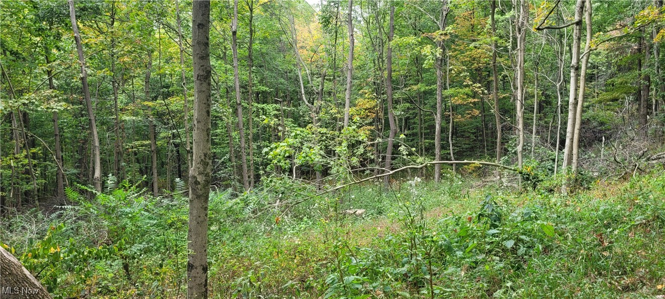 343 County Road Coshocton, OH 43812 - Photo 20 of 49 Gallery Image 20