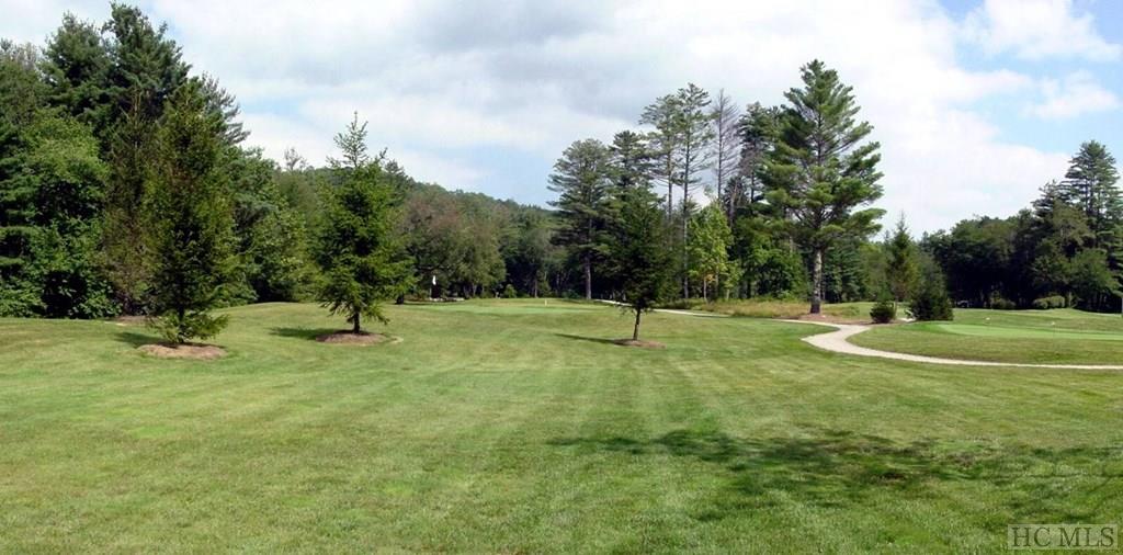 391 Tower Road Sapphire, NC 28774 - Photo 34 of 40 Gallery Image 34