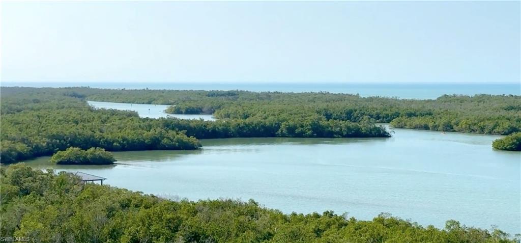 13955 Old Coast Road, Unit 804 Naples, FL 34110 - Photo 5 of 14 an aerial view of a houses with outdoor space and trees