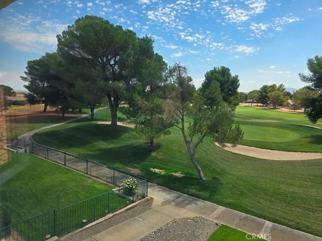 a view of field with grass and trees