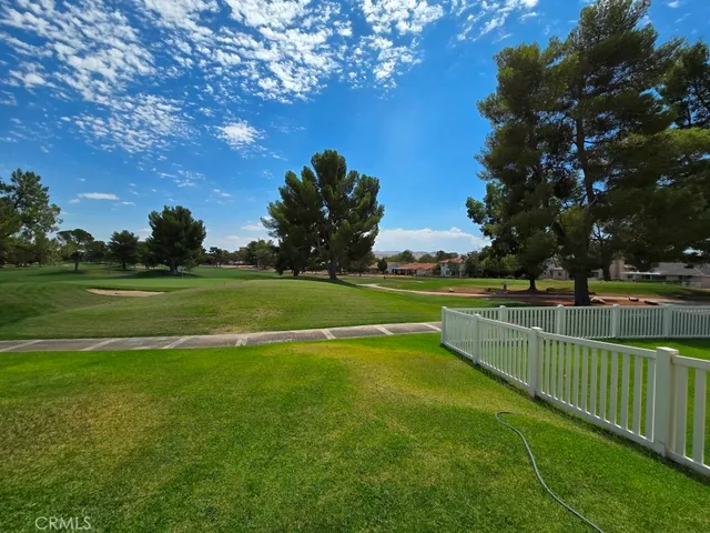 a view of a backyard with a garden and plants