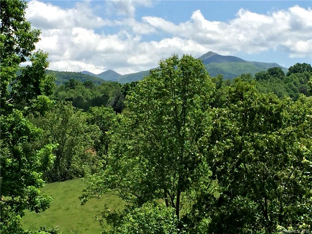 660 Edwards Cove Road, Unit 1 Waynesville, NC 28786 - Photo 3 of 24 a view of a green field with lots of bushes