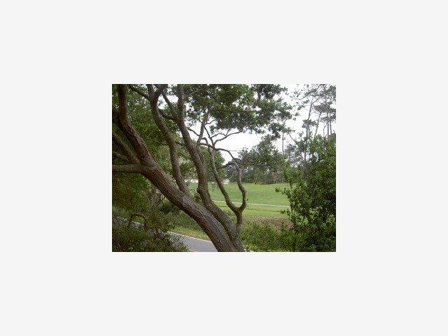 2920 Sloat Road Pebble Beach, CA 93953 - Photo 4 of 4 Gallery Image 4