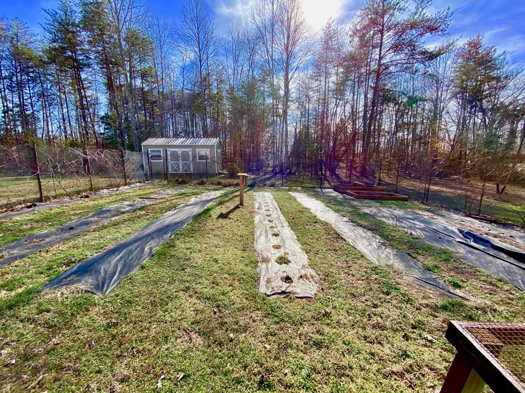 587 Schultz Mill Road Meherrin, VA 23954 - Photo 59 of 70 Gallery Image 59