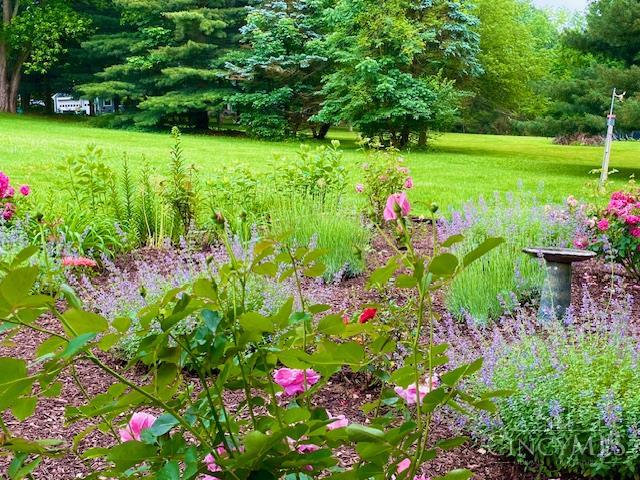 2361 Wilmington Road Lebanon, OH 45036 - Photo 53 of 58