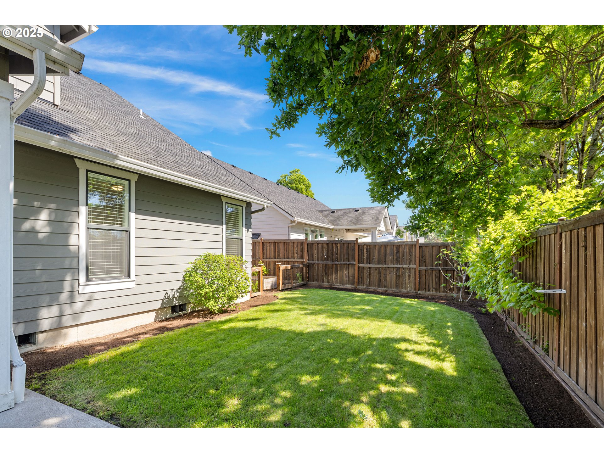 1408 Taylor Street Eugene, OR 97402 - Photo 38 of 43 a view of a backyard with plants and large tree