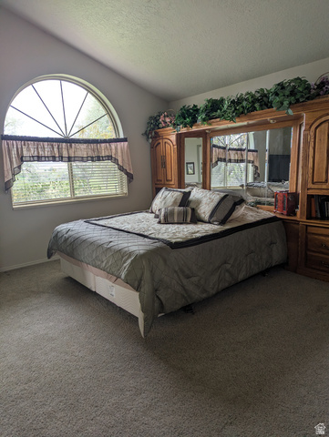 1040 West Mill Road Ferron, UT 84523 - Photo 39 of 117 Arch-top window with horizontal blinds, built-in wooden cabinetry with mirrored panels, and wall-to-wall carpeting