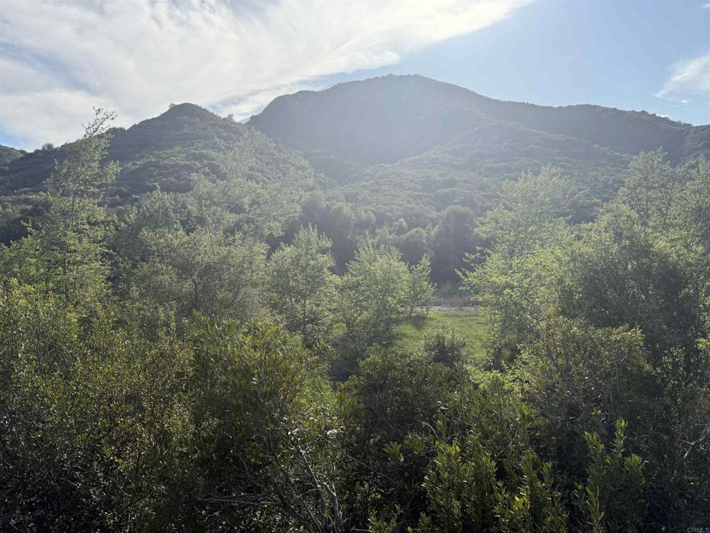 a view of a mountain range with trees in the background