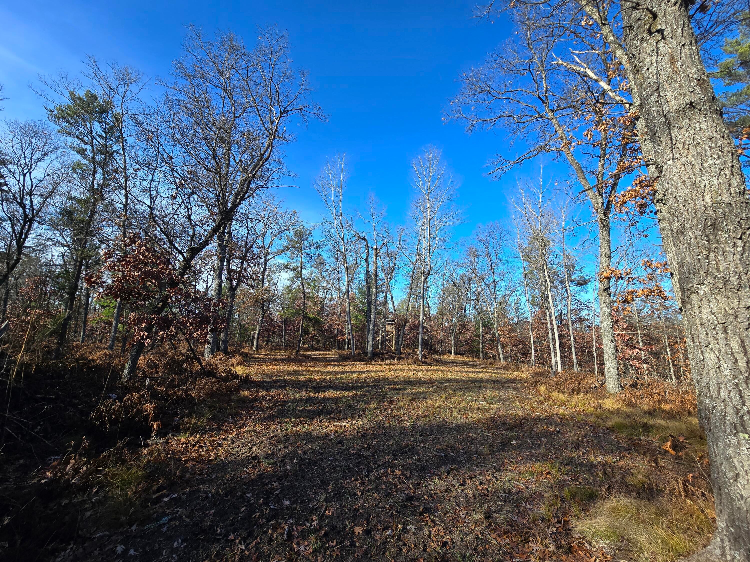 1500 Hardy Grade Road Curran, MI 48728 - Photo 67 of 81 Gallery Image 67