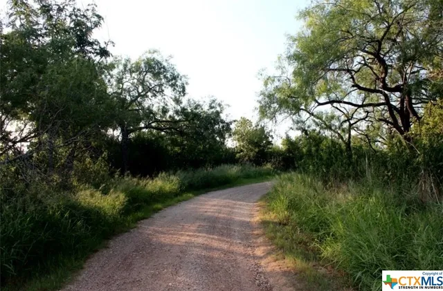 $59,999 | Lot 3 Wisteria Lane, Nixon, TX 78140