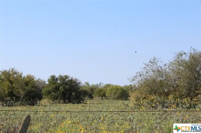 $59,999 | Lot 3 Wisteria Lane, Nixon, TX 78140