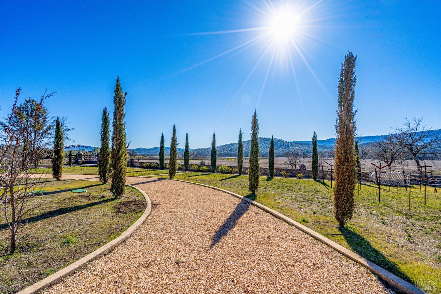 7640 Butts Canyon Road Pope Valley, CA 94567 - Photo 56 of 60