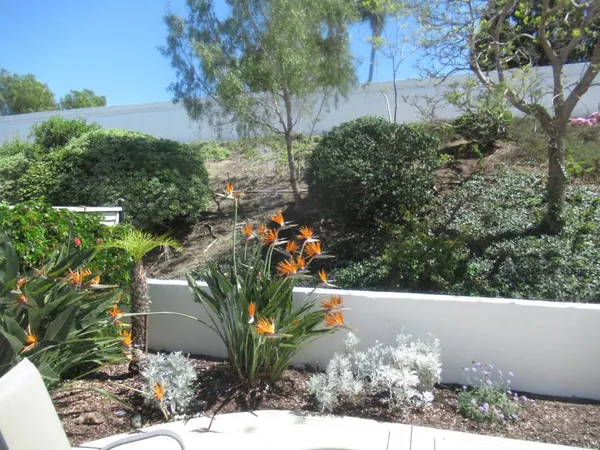 $4,920 | 6033 Patmos Way, Oceanside, CA 92056