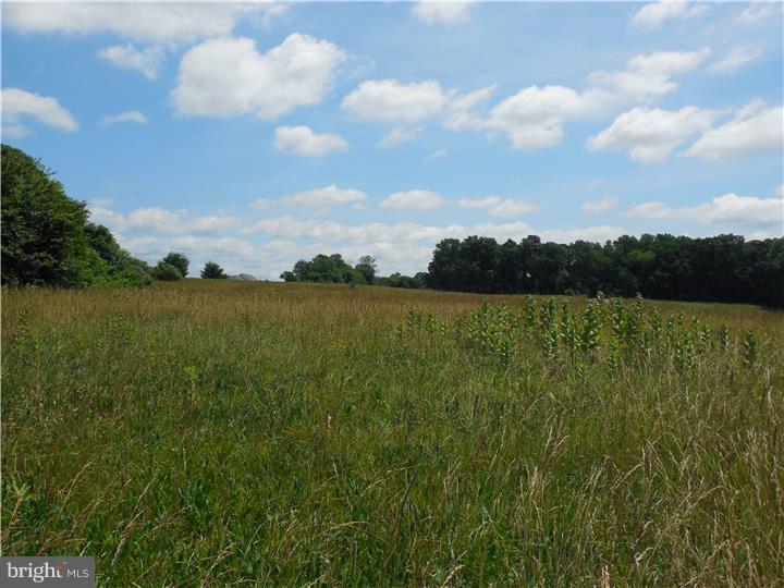 Lot 0 Appleton Road Landenberg, PA 19350 - Photo 7 of 16 Gallery Image 7