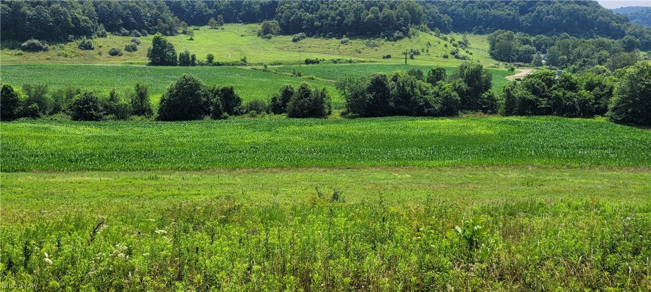Southeast Edwards Ridge Road Southeast Uhrichsville, OH 44683 - Photo 34 of 34 Gallery Image 34