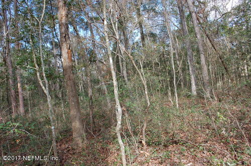 Lot 32-33 Riverside Drive O'Brien, FL 32071 - Photo 12 of 20 122155-1484345847983