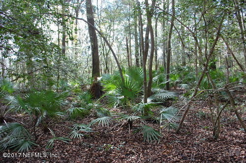 Lot 32-33 Riverside Drive O'Brien, FL 32071 - Photo 14 of 20 122155-1484345967684