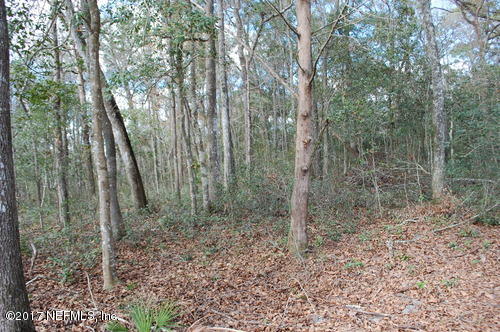 Lot 32-33 Riverside Drive O'Brien, FL 32071 - Photo 4 of 20 122155-1484345388091