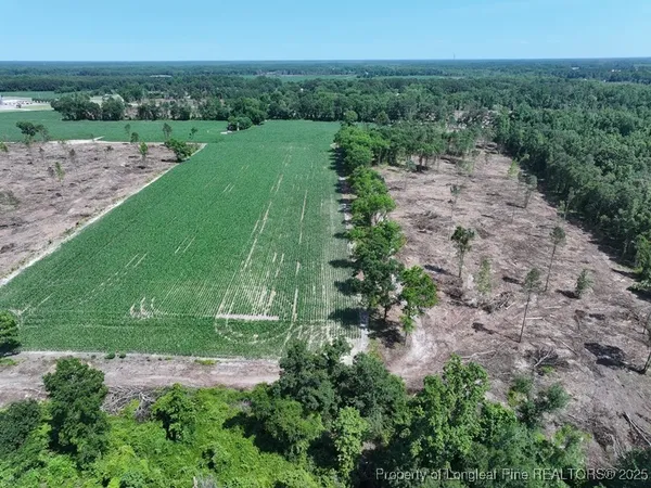 an aerial view of a green field with lots of green space