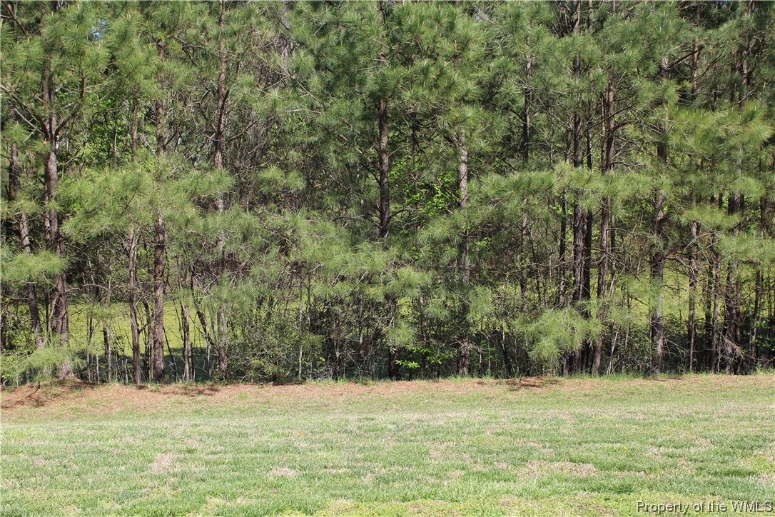 109 Old Meadows Road Williamsburg, VA 23188 - Photo 22 of 25 Gallery Image 22